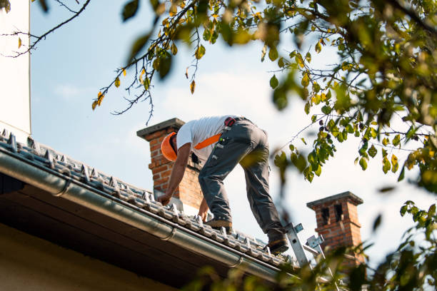 Best Roof Waterproofing Services  in Oblong, IL