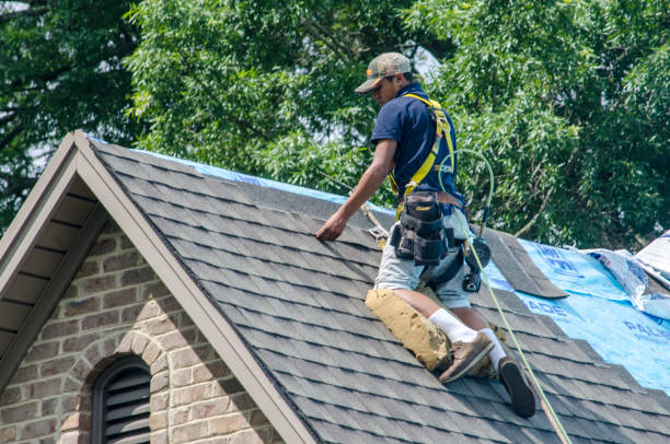 Best Gutter Installation and Roofing  in Oblong, IL